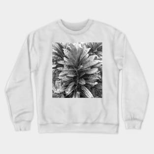 Black and white Crotons Crewneck Sweatshirt